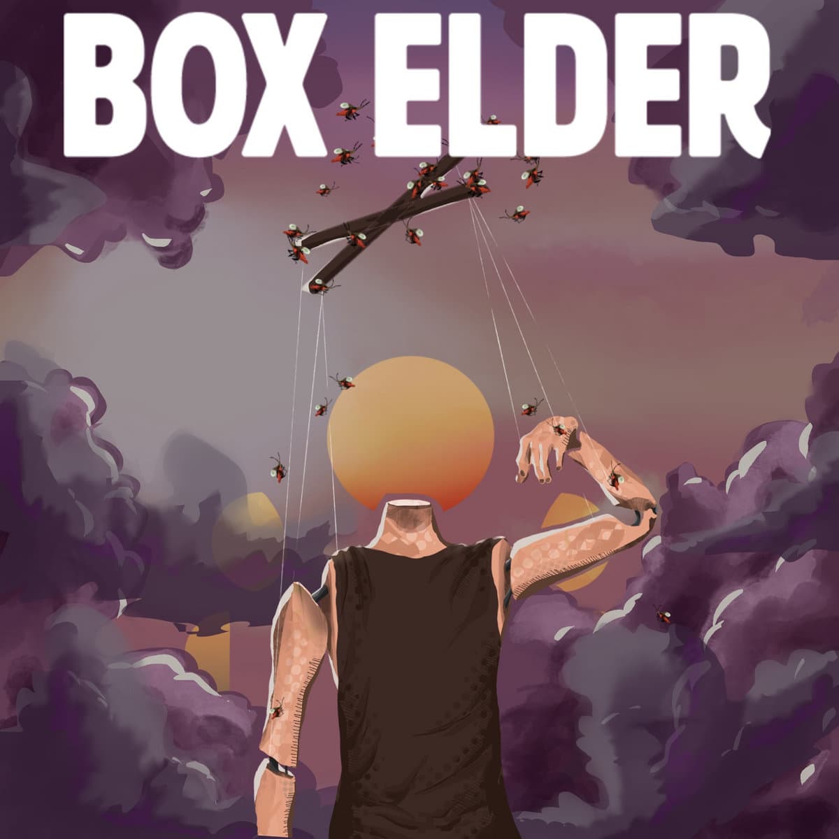 image of Box Elder