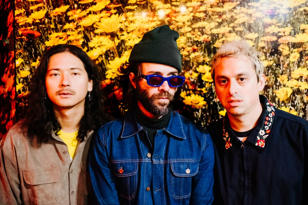 image of The Technicolors