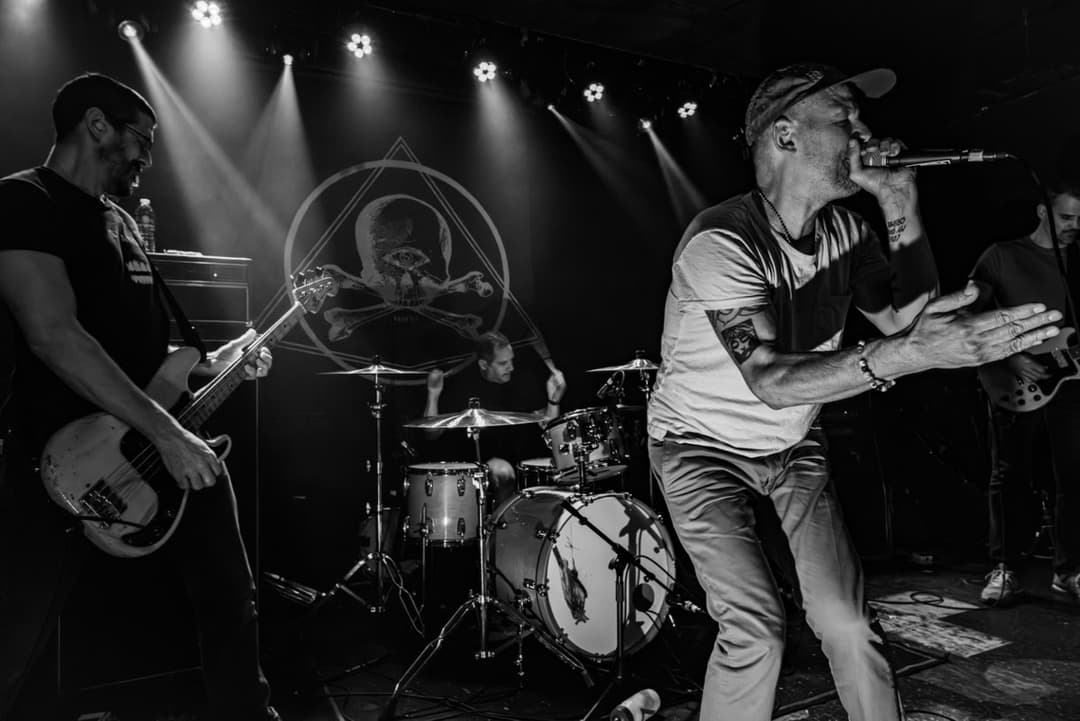 image of Bitter Branches