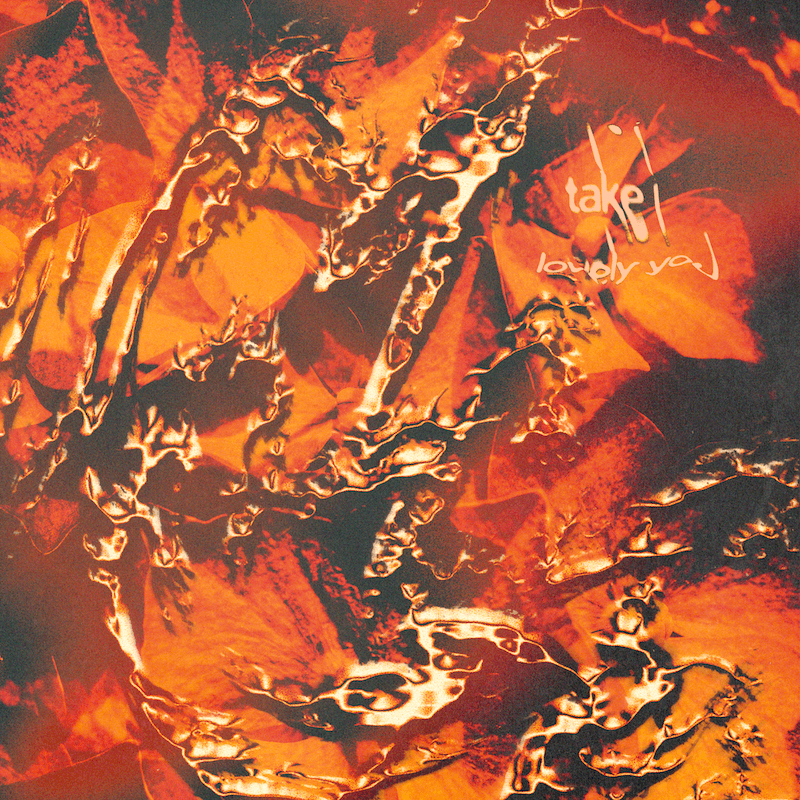 image of take i lovely you