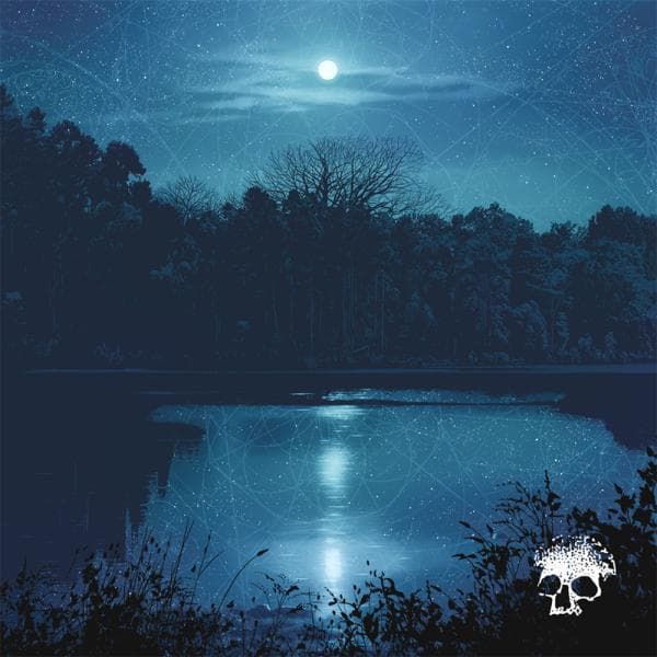 Do You Still Love Me? by Planes Mistaken For Stars album cover art - Punk, Emo, Melodic Hardcore, Metalcore, Post Hardcore