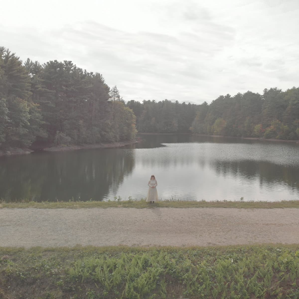 We Won't Survive the Comet by The Dreamtoday album cover art - Dream Pop, Shoegaze, Alt Rock, Emo, Nu-gaze, Post-grunge