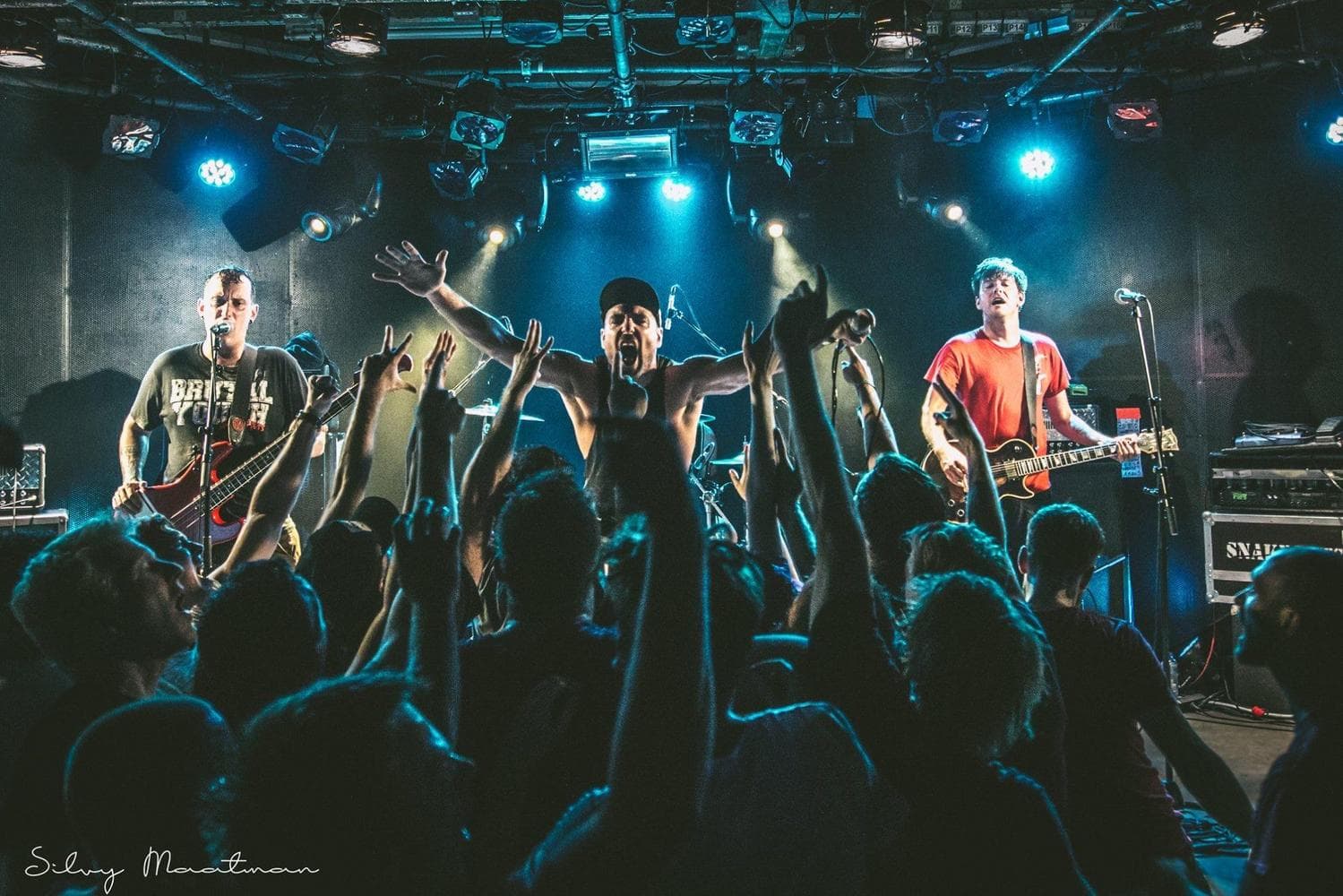 image of A Wilhelm Scream