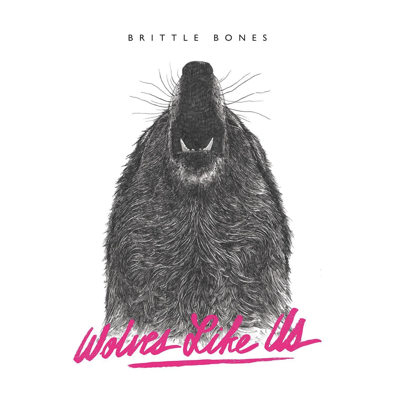 Cover art for Brittle Bones