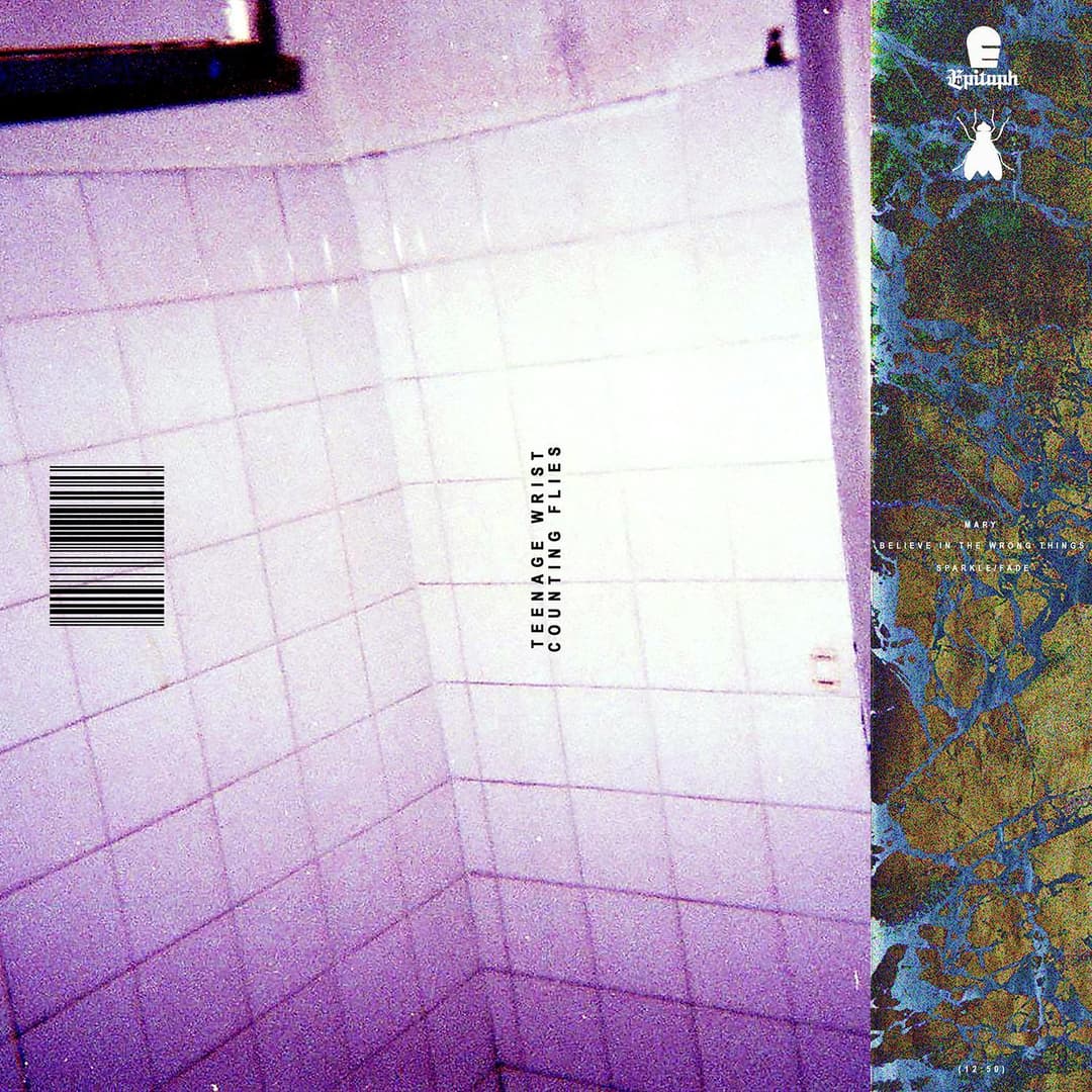 image of Counting Flies