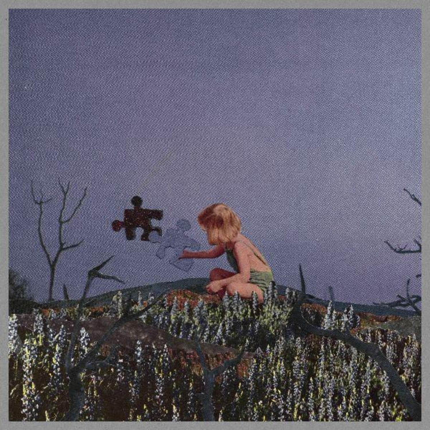 Cover art for Disposable Life