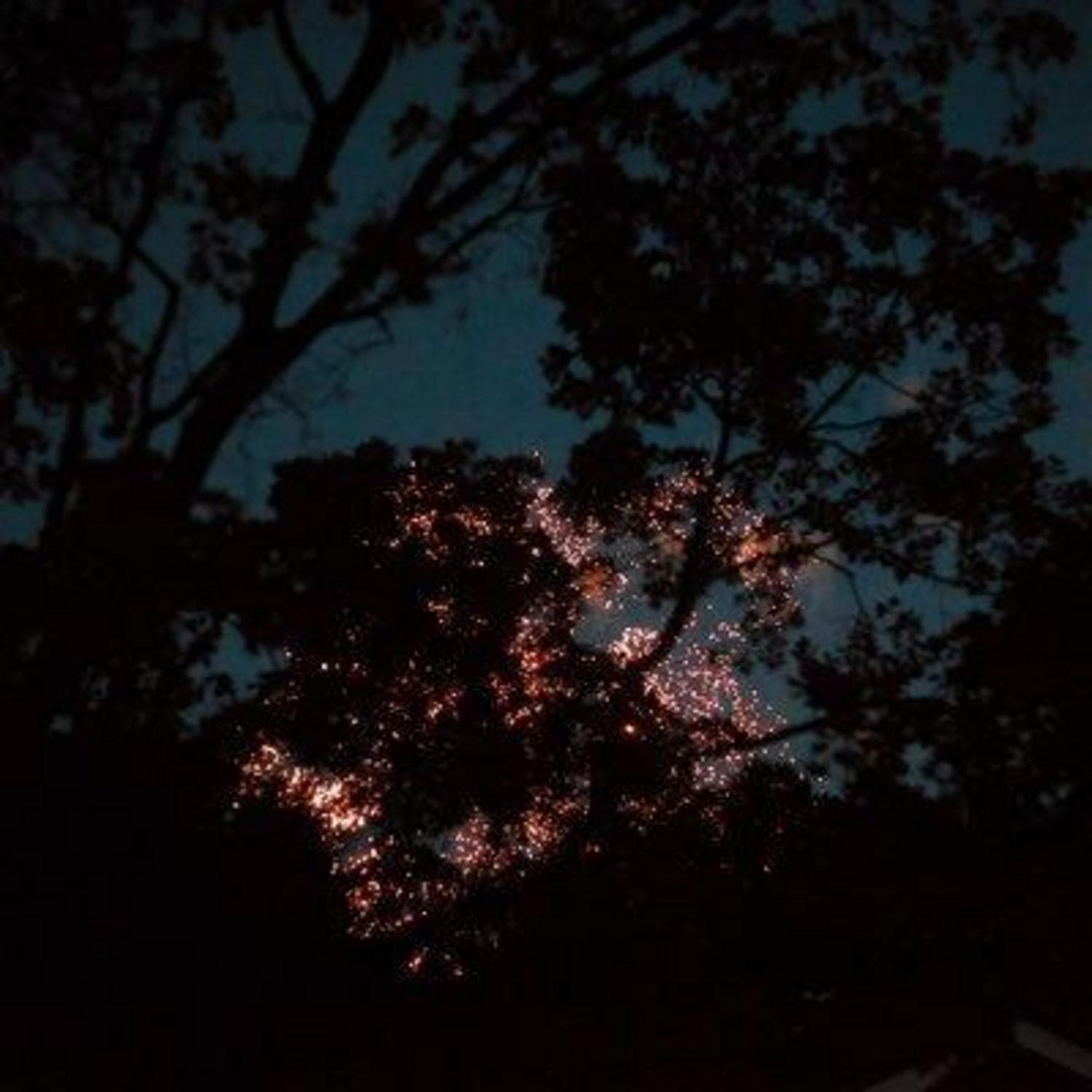 Cover art for Down Through