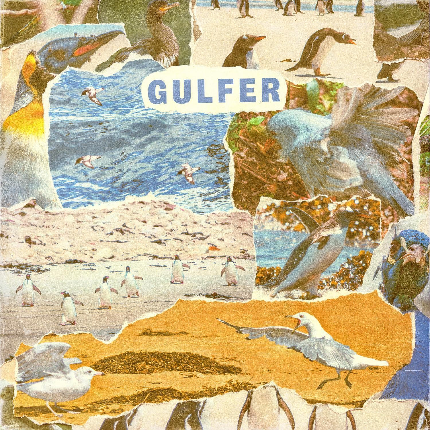 Gulfer — Gulfer