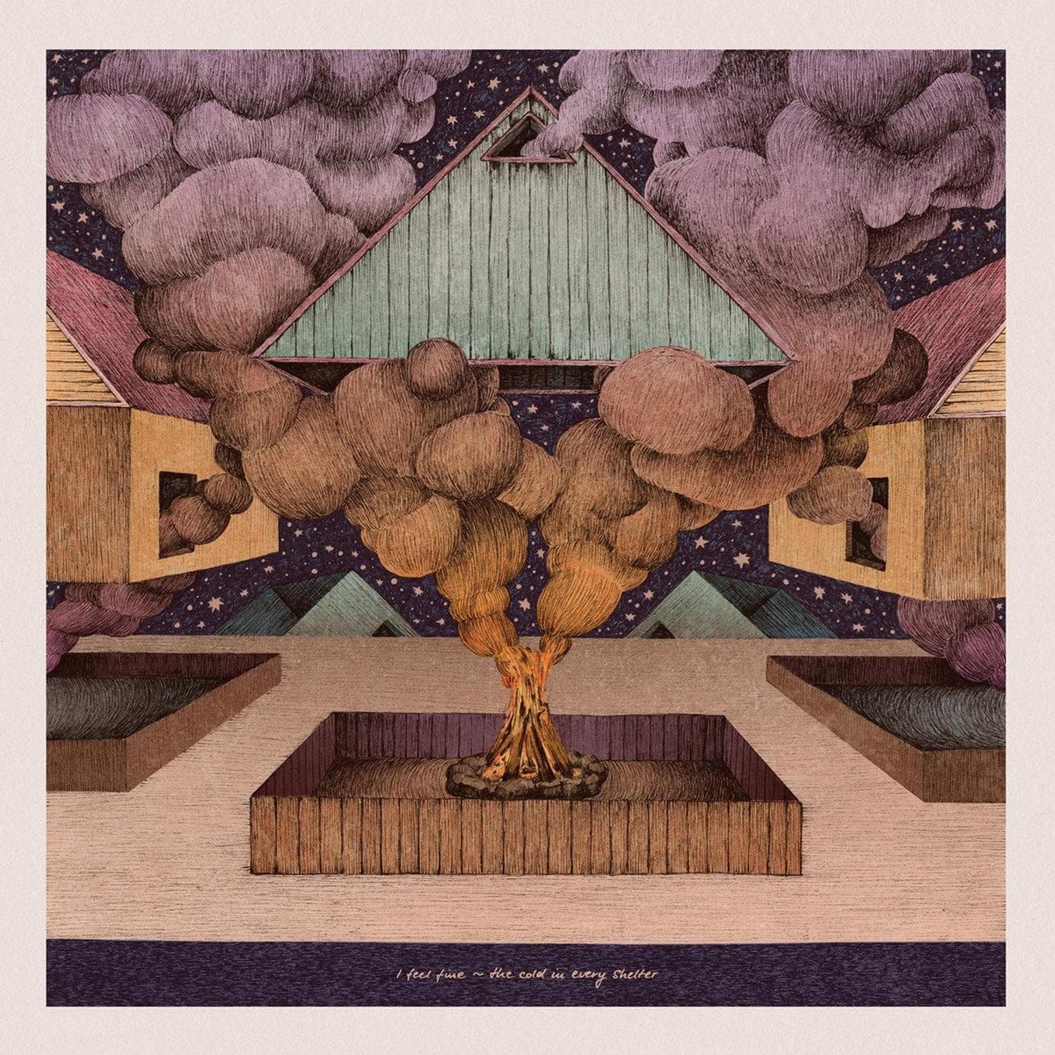 Cover art for The Cold In Every Shelter