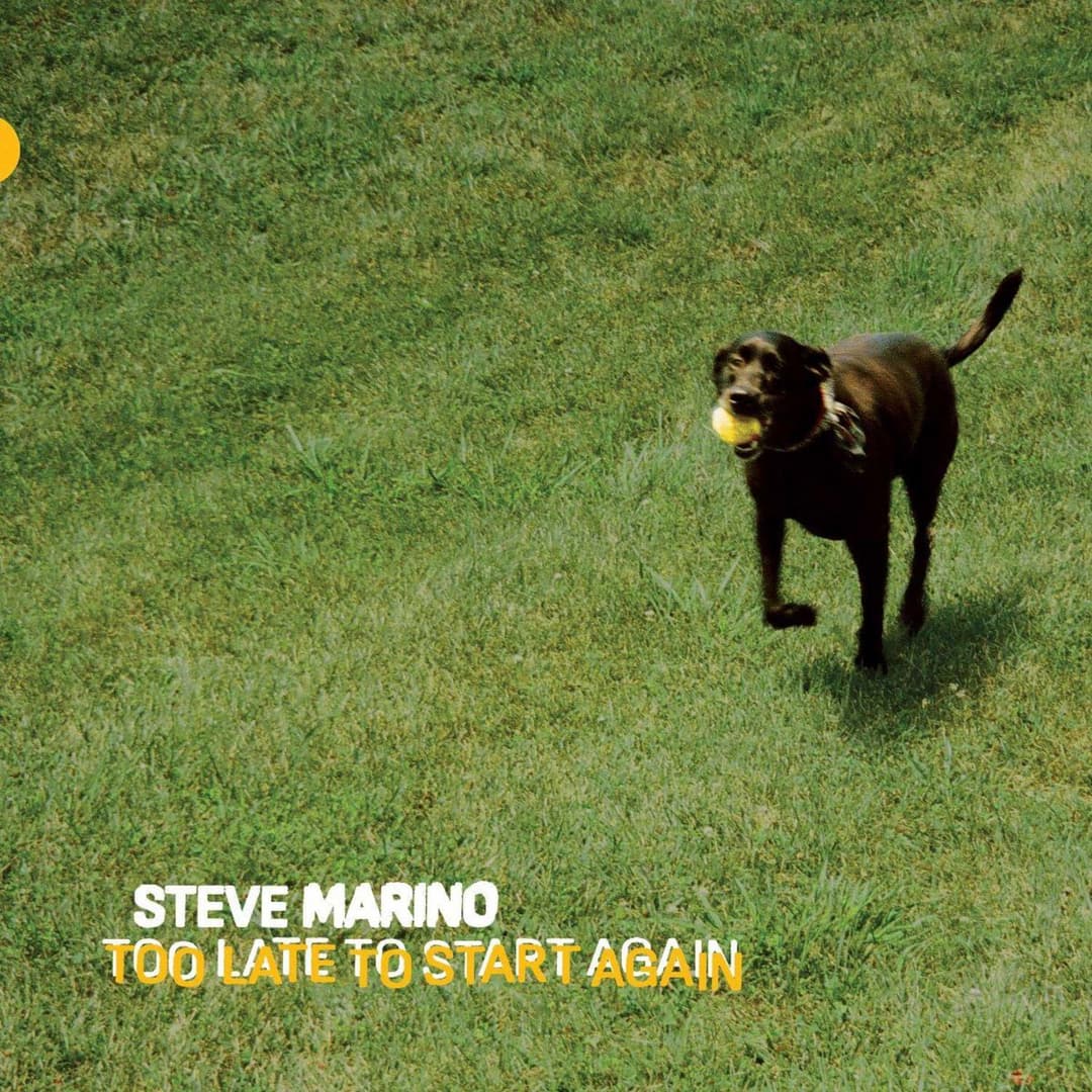 Too Late To Start Again by Steve Marino album cover art