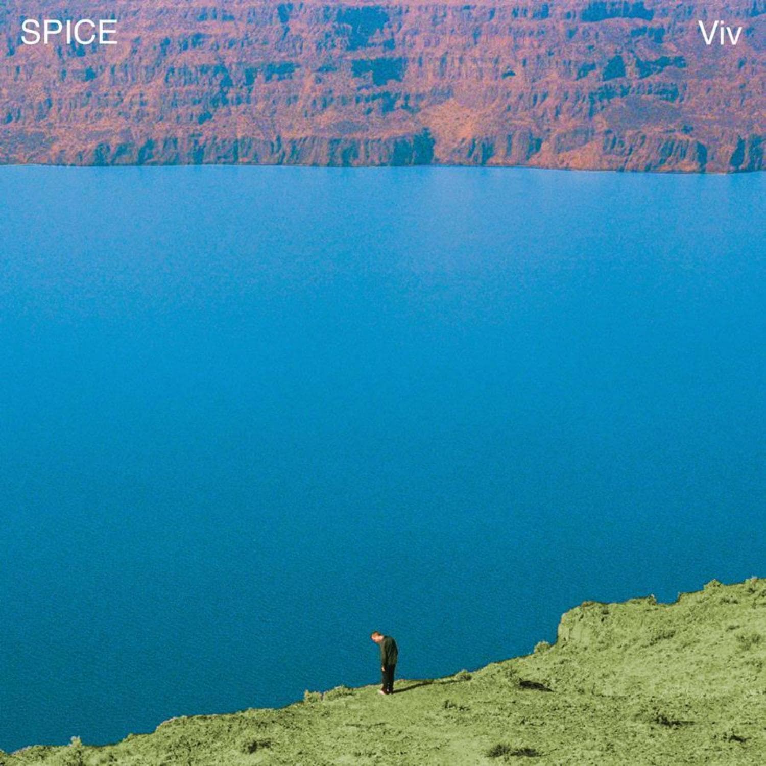 Spice — Viv