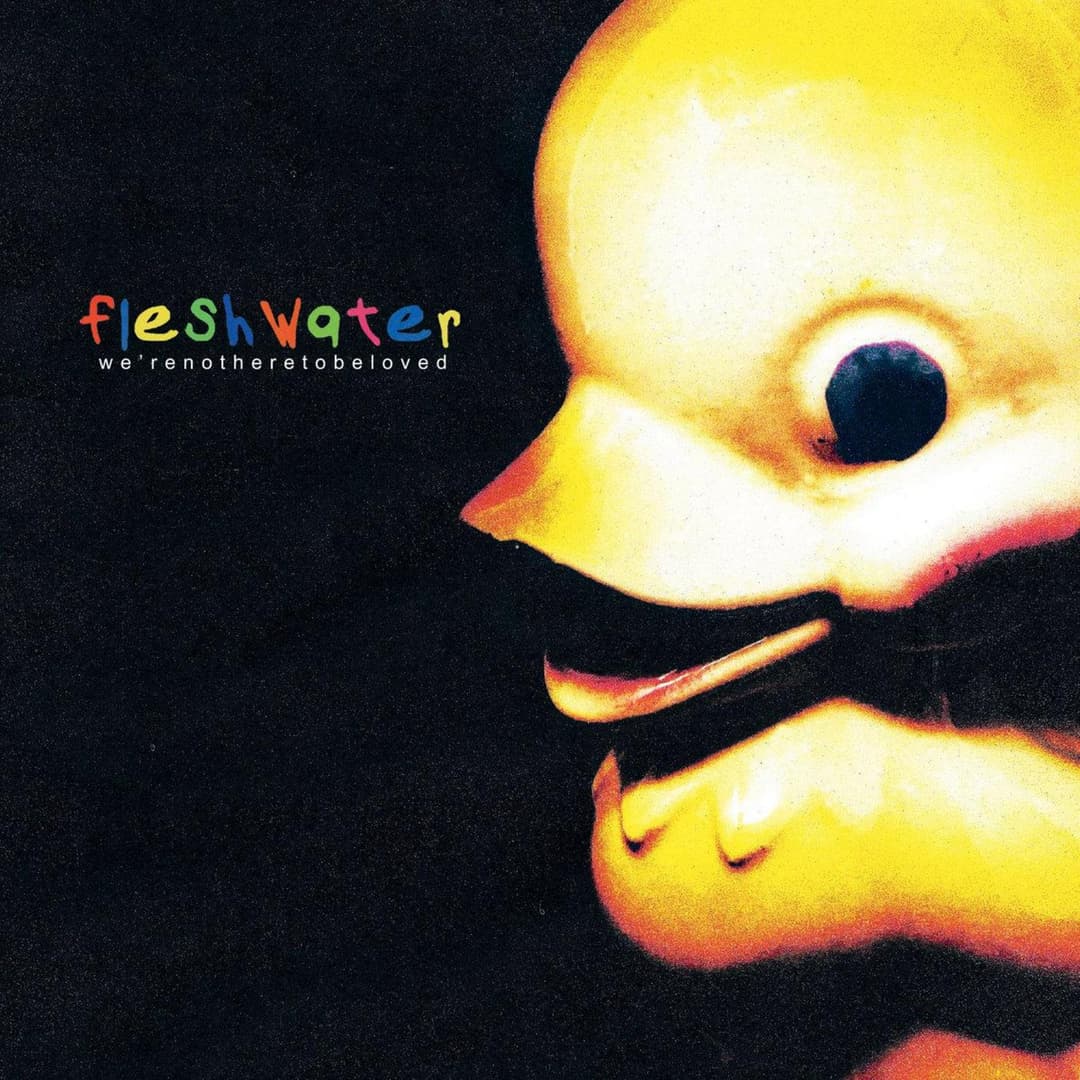 We're Not Here To Be Loved by Fleshwater album cover art