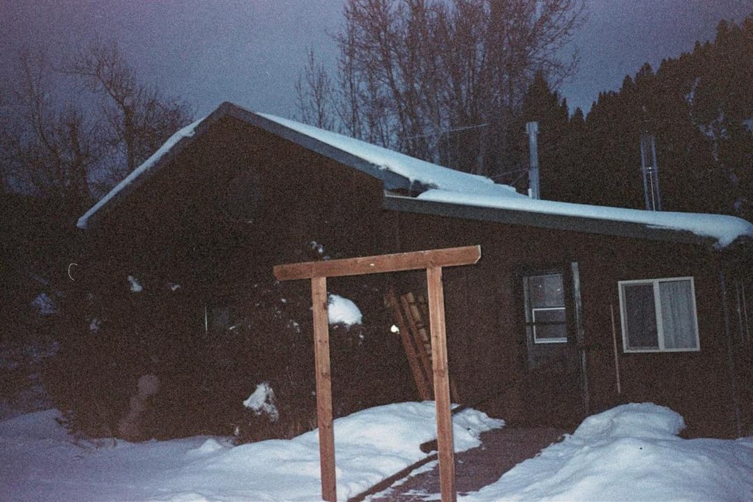 image of With a Rotting Heart