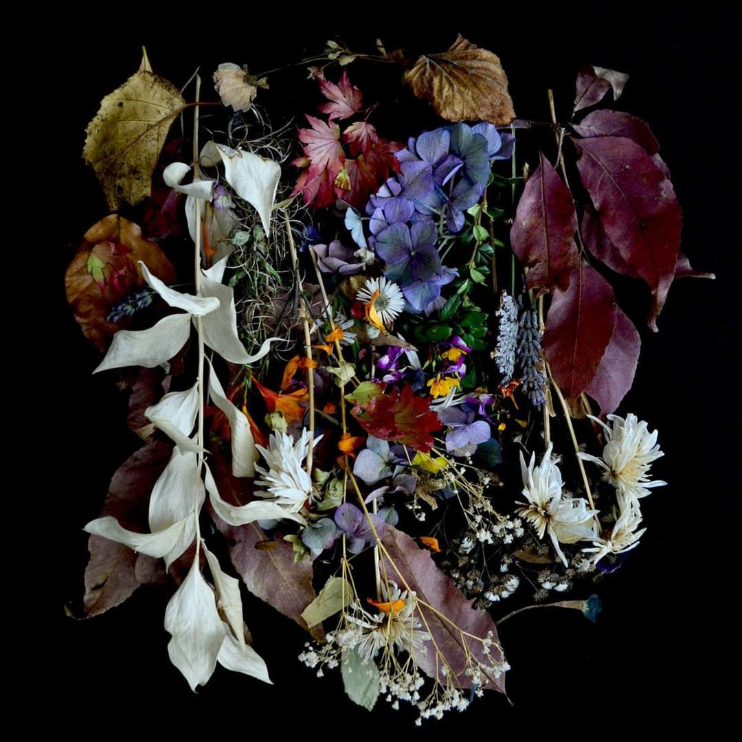 image of Your Church On My Bonfire