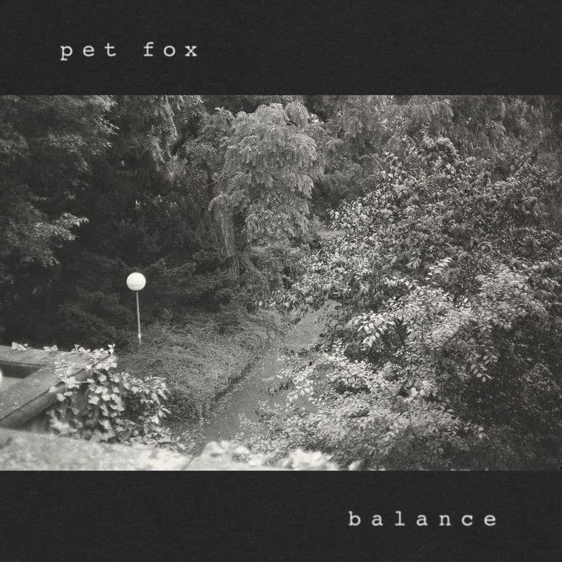 Pet Fox Announce New Album Balance, Share Title Track