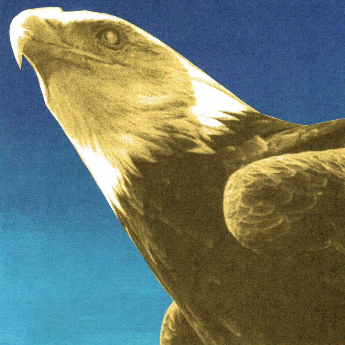 Protomartyr — Hotel Usona