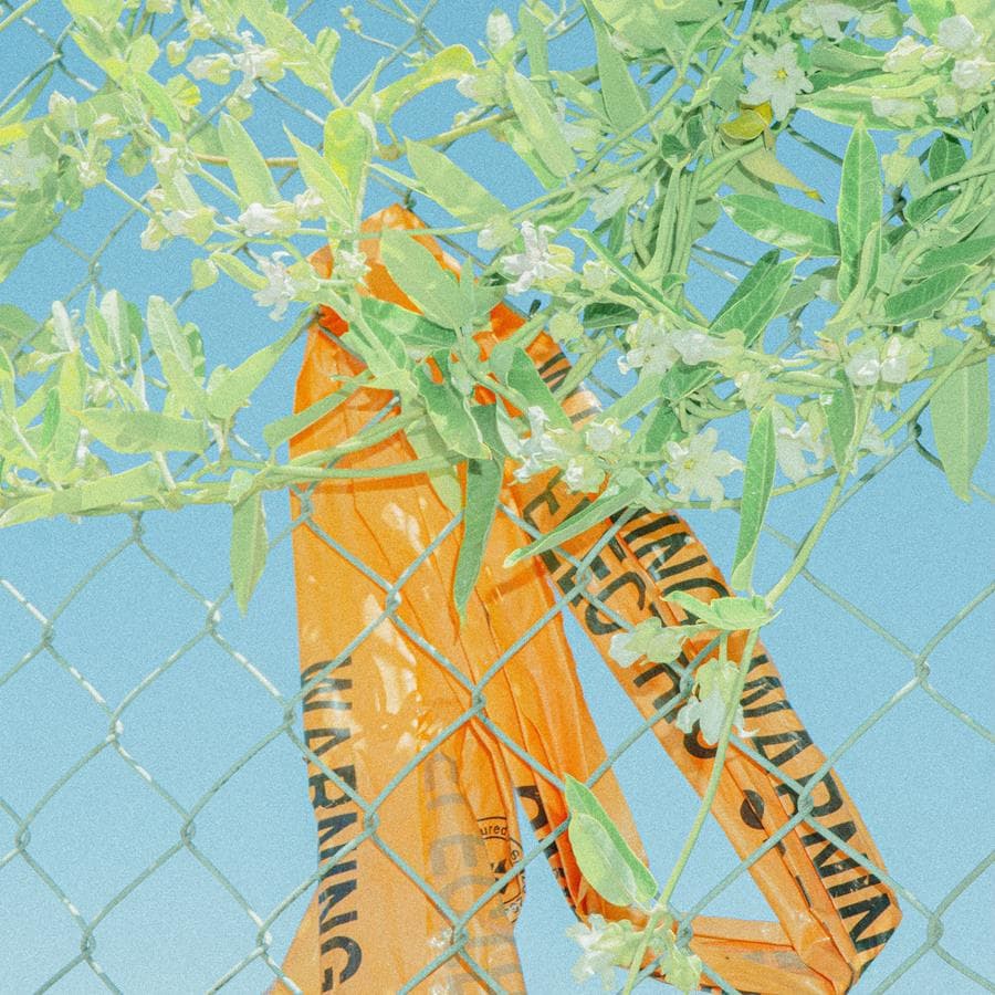 Lockstep — I Know What I Saw