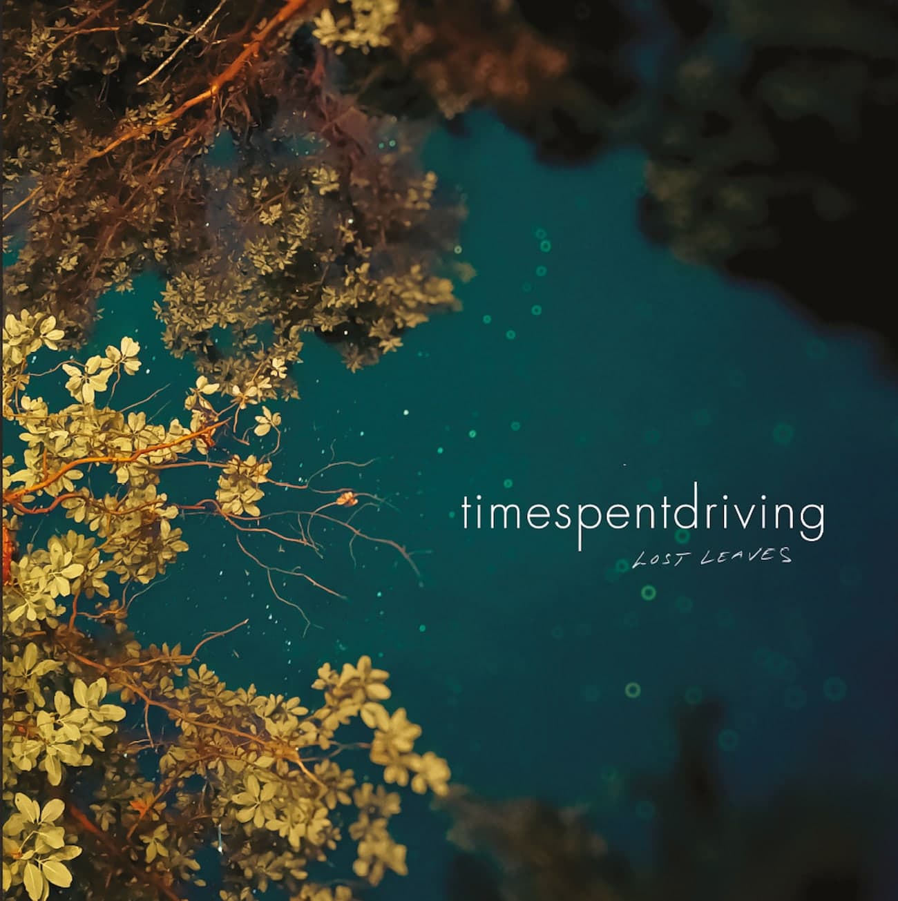 Time Spent Driving — Lost Leaves