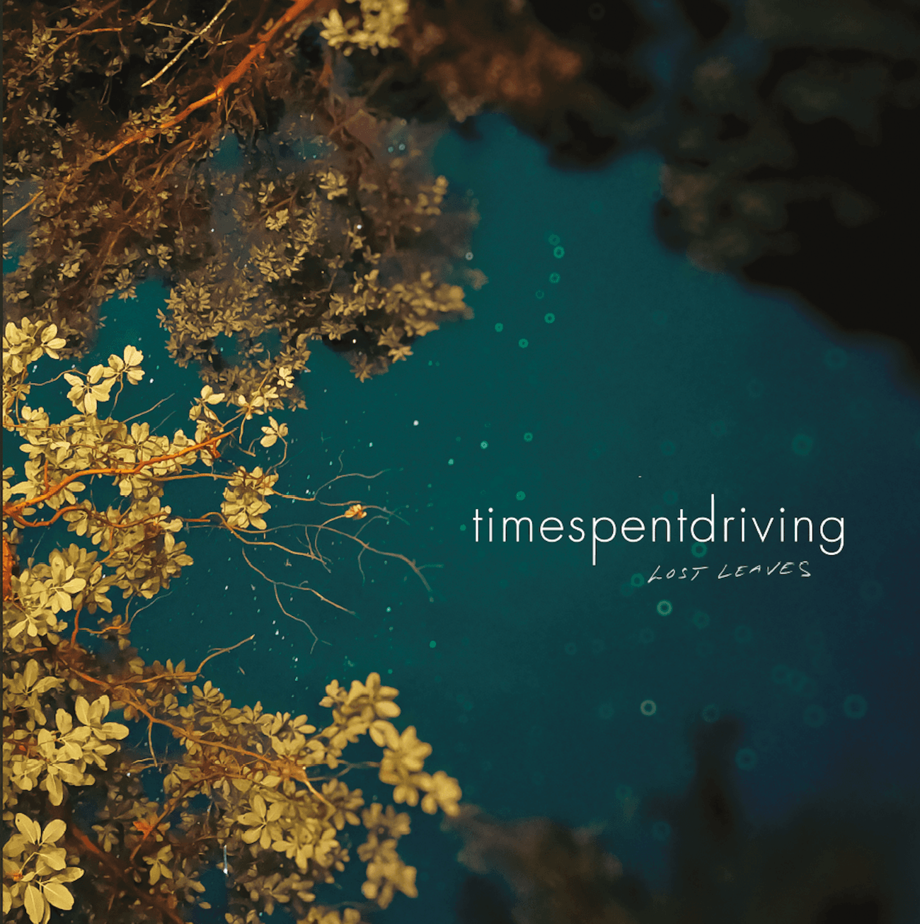 Santa Cruz emo band Time Spent Driving Share New Single “She’s the One” from forthcoming LP