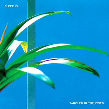Sleep In. Announce New Album Tangled In The Vines, Share Lead Single “It’s All Ratfucked”