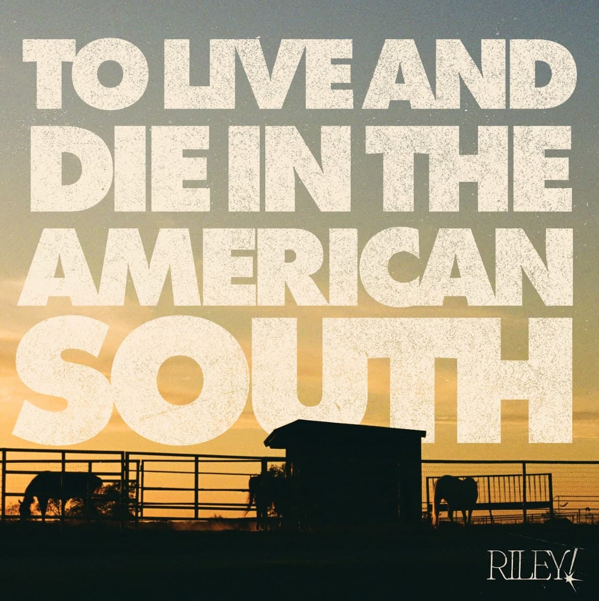 Riley! — To Live And Die In The American South