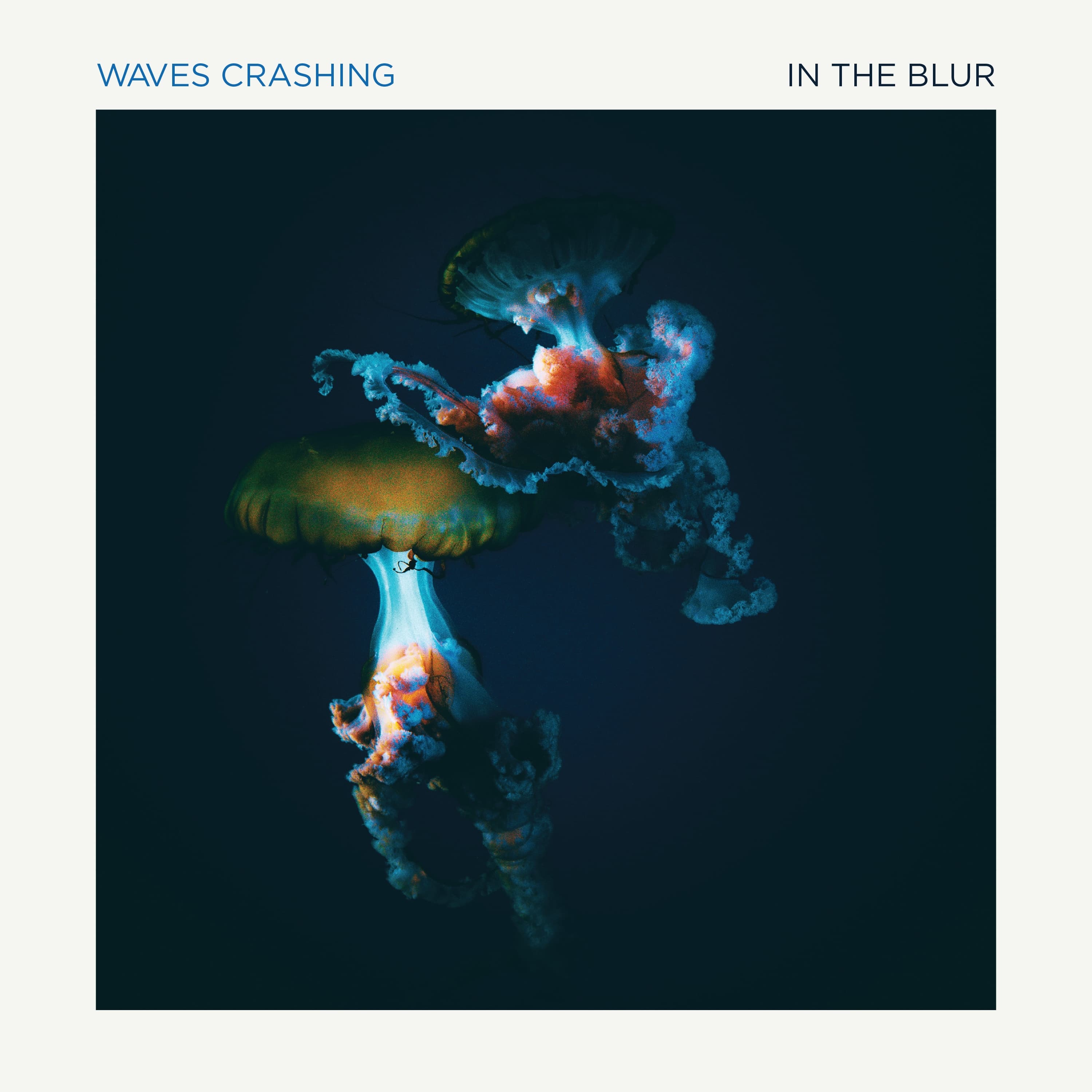 image of In The Blur